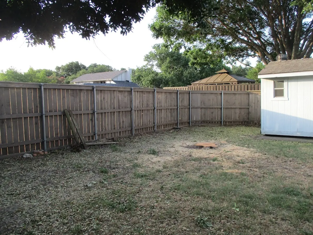 Cleared yard after professional tree removal in Petrified Forest Natl Pk